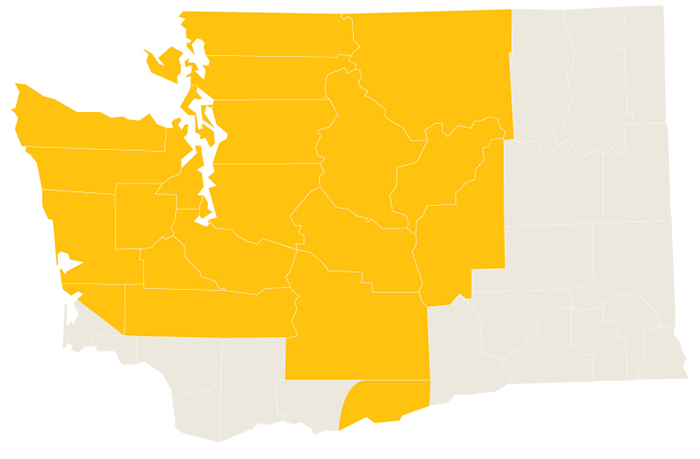 Harnish Foundation Washington Yellow