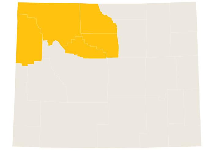 Harnish Foundation Wyoming Yellow